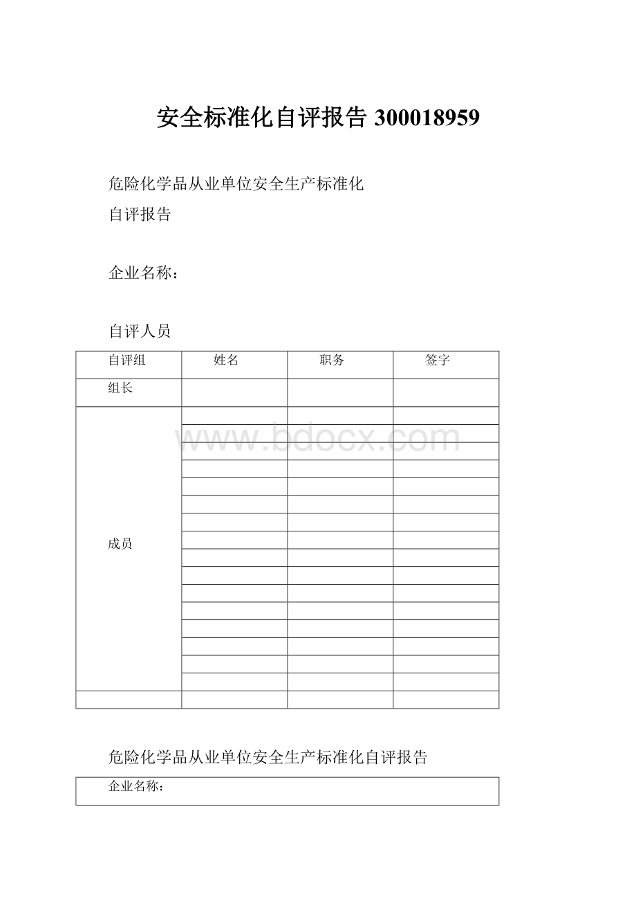 安全标准化自评报告300018959.docx_第1页