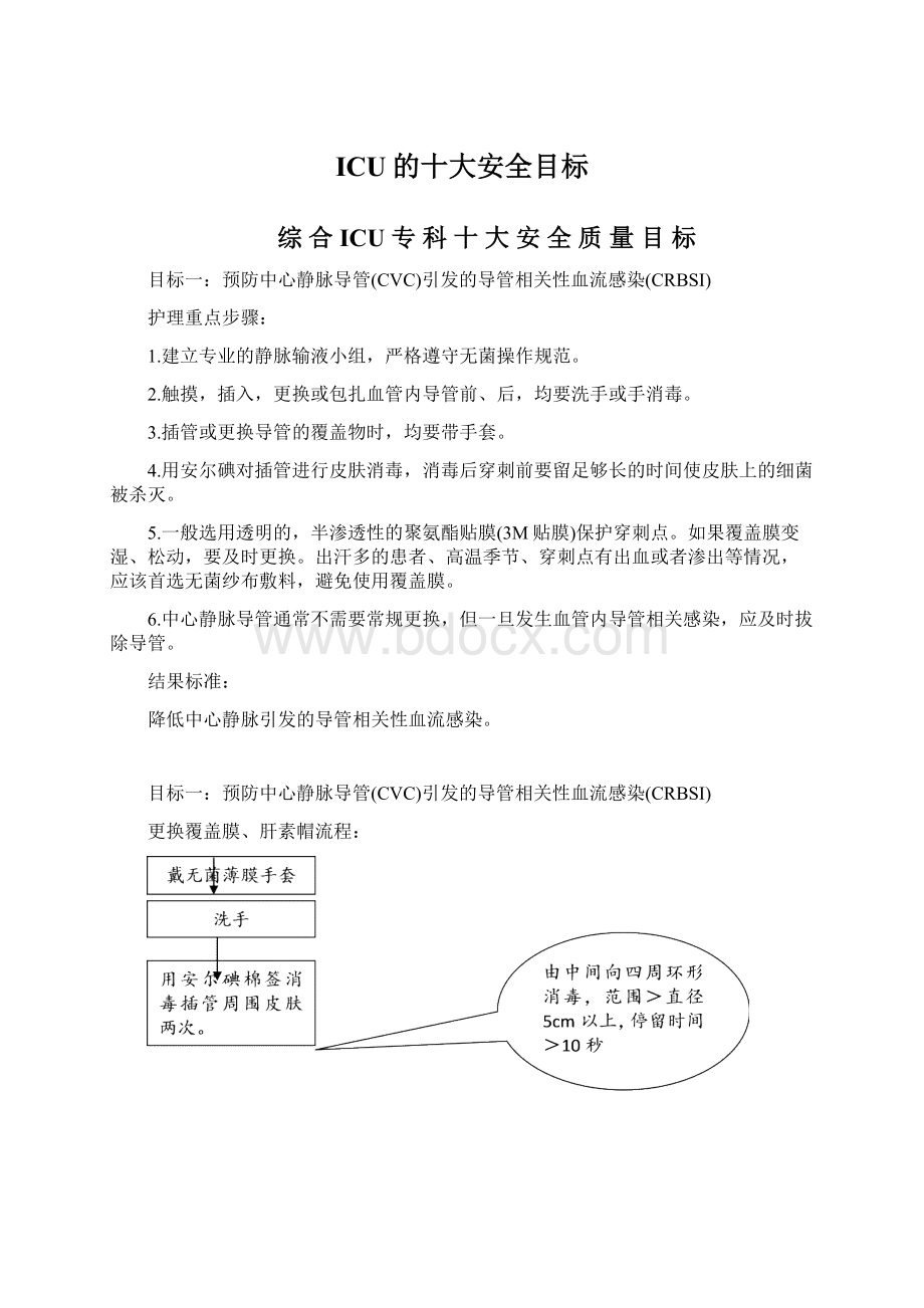 ICU的十大安全目标Word下载.docx