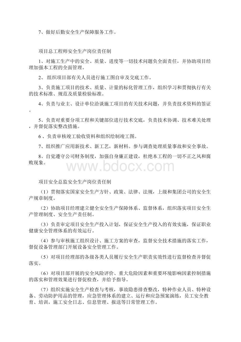 项目安全生产责任制.docx_第2页