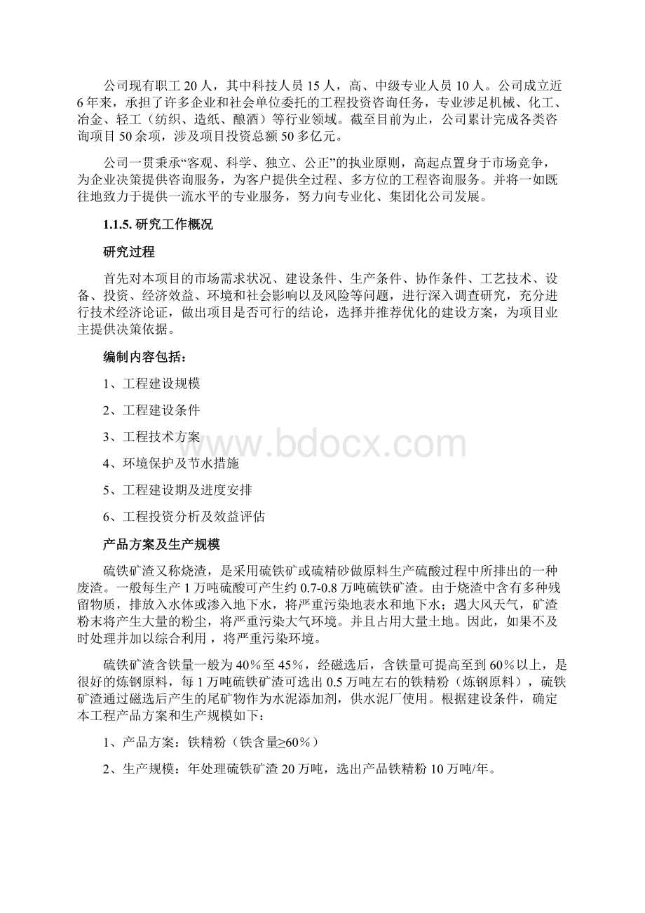 硫铁矿渣选生产10万吨铁精粉可行性分析报告.docx_第2页