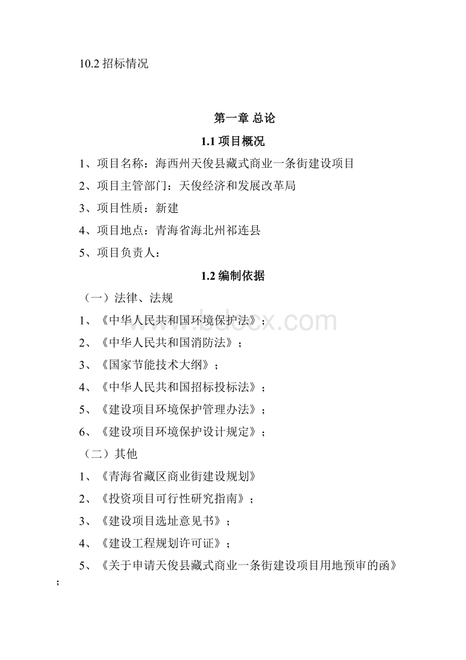 XX地区藏式商业综合体建设项目可行性研究报告.docx_第2页