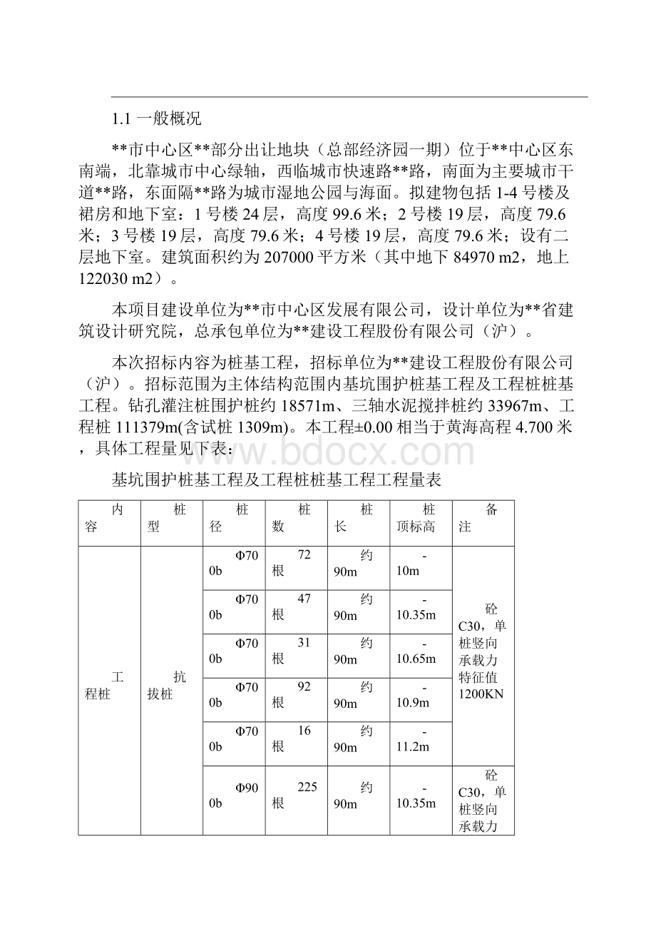 桩基工程技术标.docx_第2页