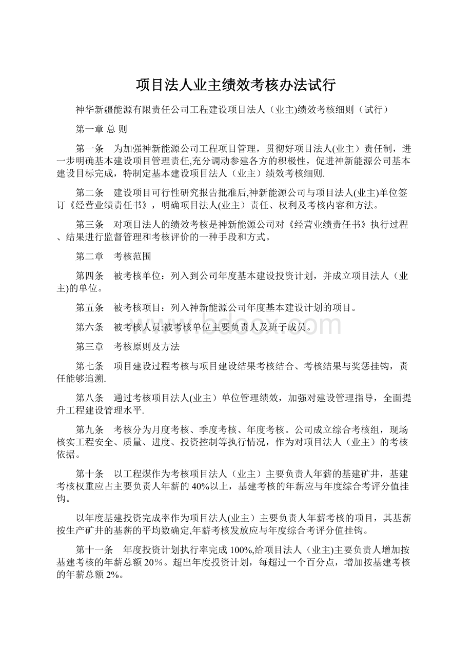 项目法人业主绩效考核办法试行Word下载.docx