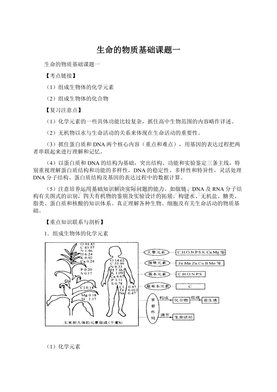 生命的物质基础课题一Word格式文档下载.docx