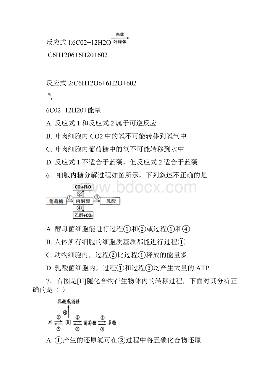 期末试题河北省衡中学年高一上学期第五次月考期末生物试题有答案.docx_第3页