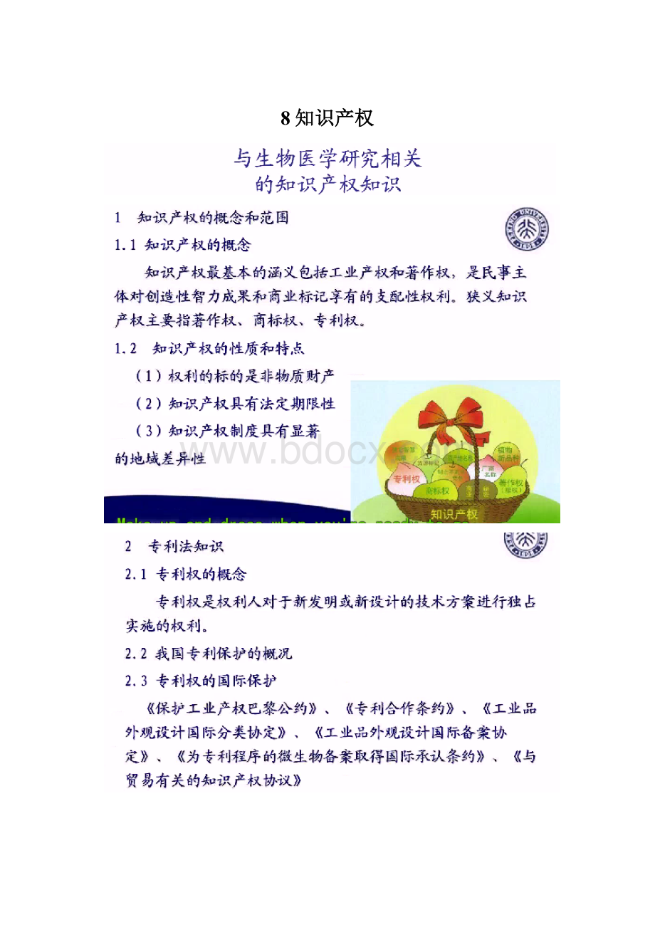 8知识产权.docx_第1页