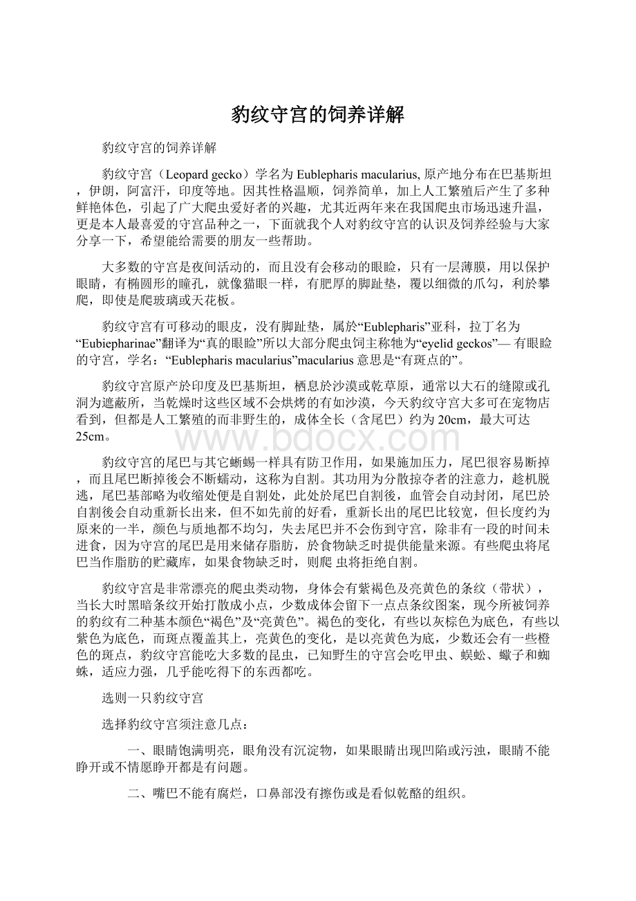 豹纹守宫的饲养详解Word文档格式.docx