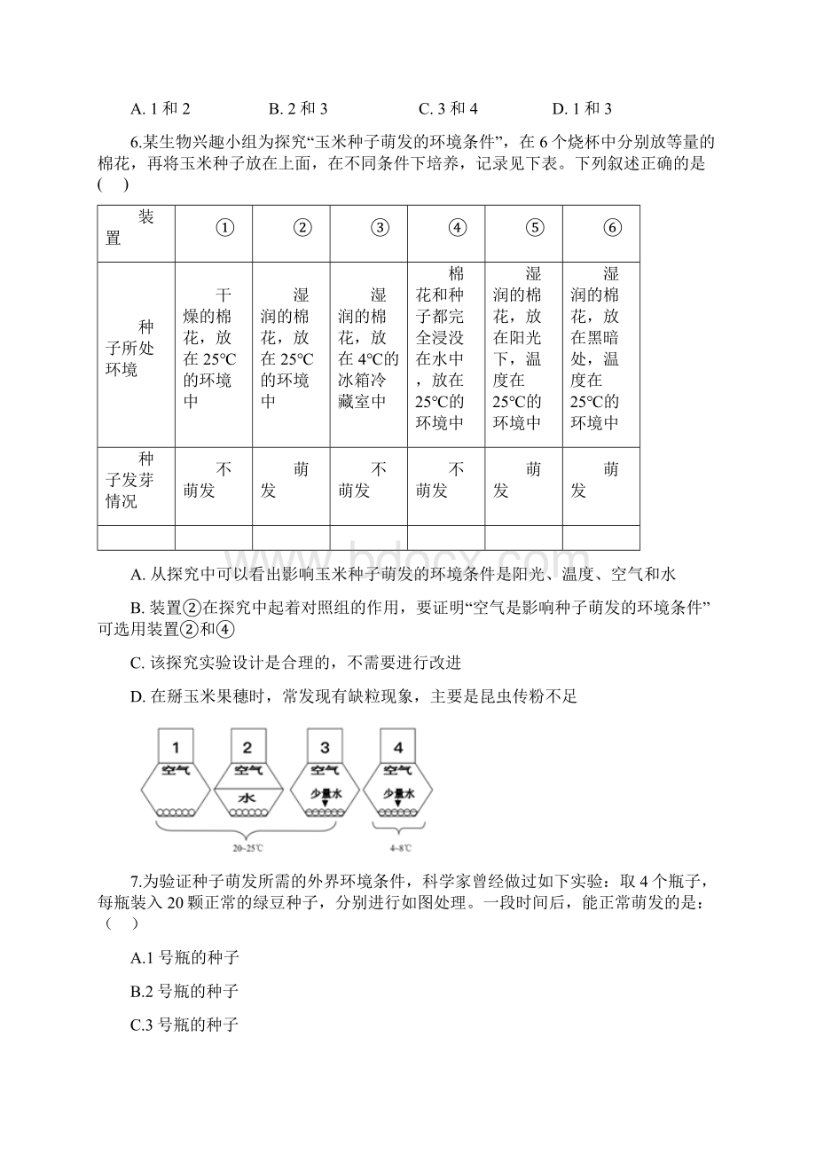 初中生物人教版七年级上册321种子的萌发同步训练解析版.docx_第2页