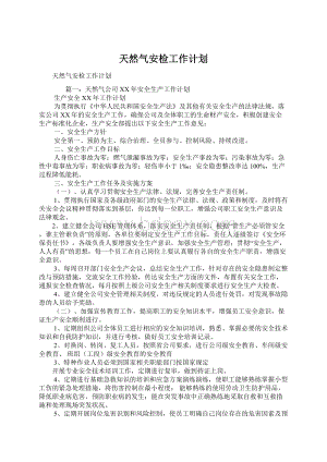 天然气安检工作计划Word文档格式.docx