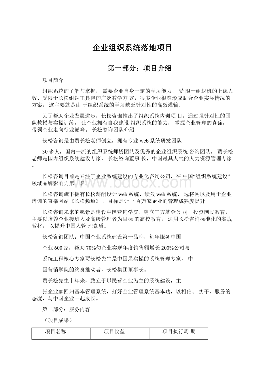 企业组织系统落地项目Word文件下载.docx_第1页