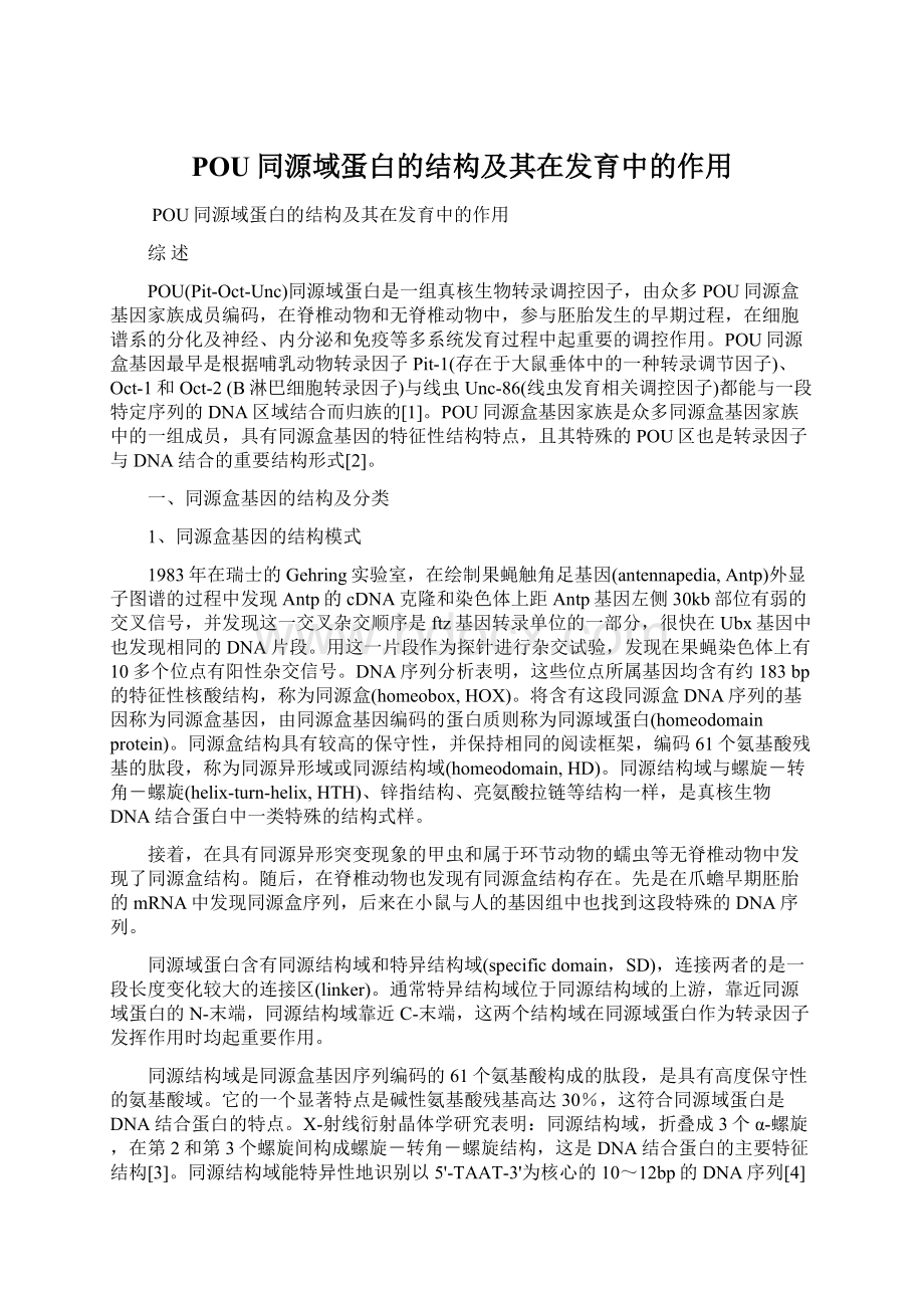 POU同源域蛋白的结构及其在发育中的作用.docx