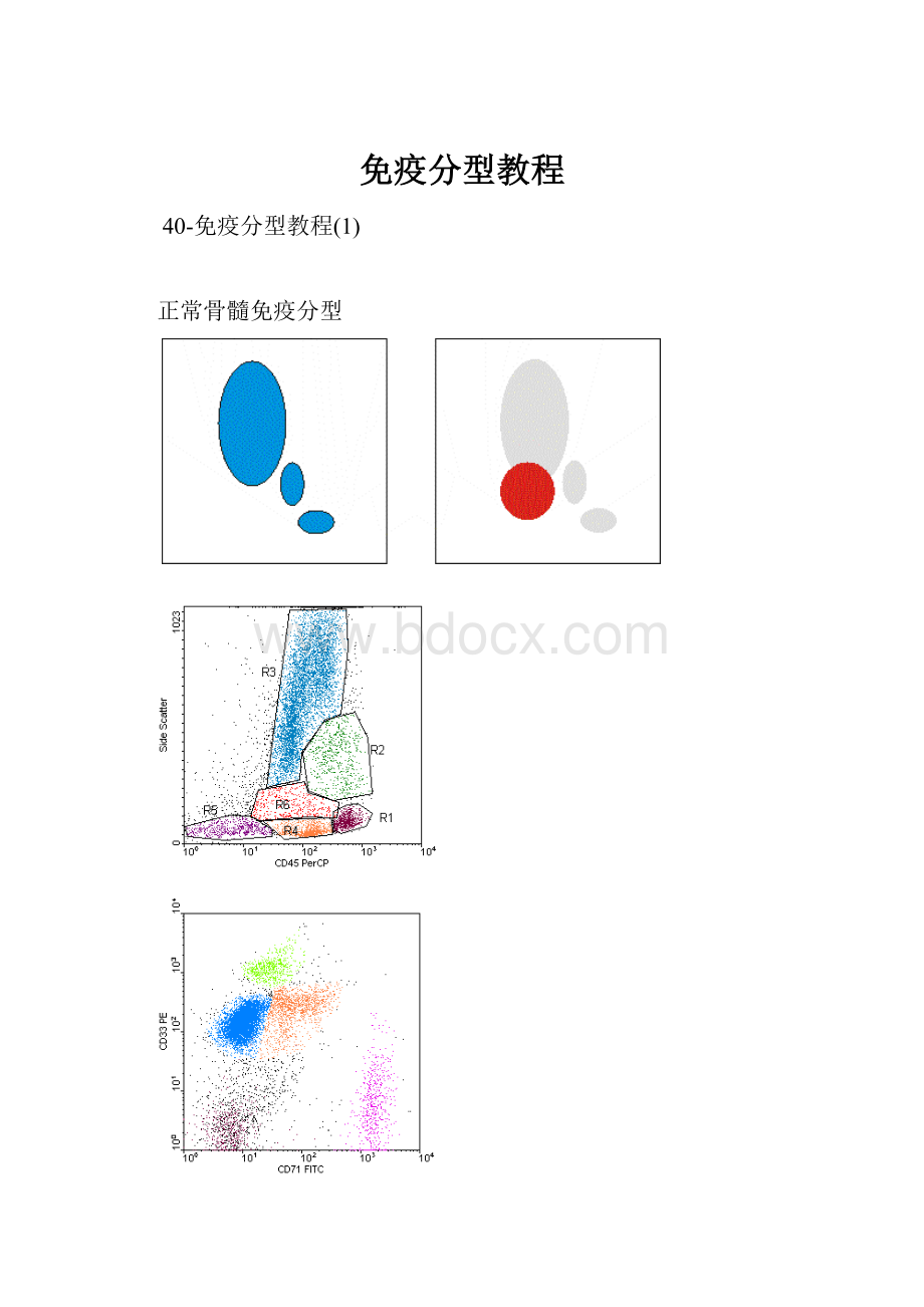 免疫分型教程Word文档下载推荐.docx