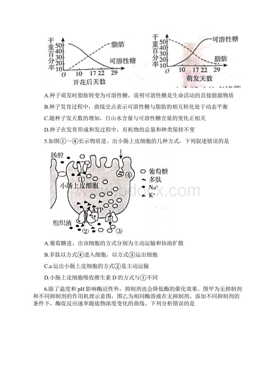 临沂市学年高二生物下学期期末学科素养水平检测试题含答案.docx_第2页