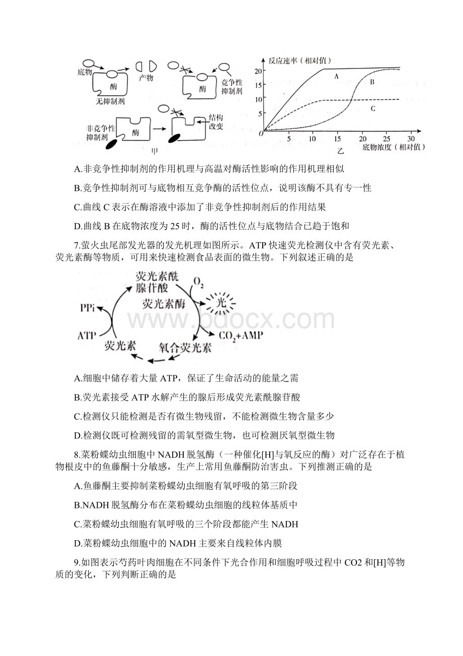 临沂市学年高二生物下学期期末学科素养水平检测试题含答案.docx_第3页