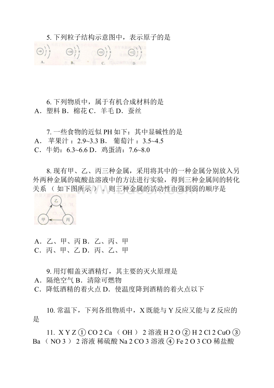 初中毕业升学考试江苏南京卷化学含答案及解析.docx_第2页