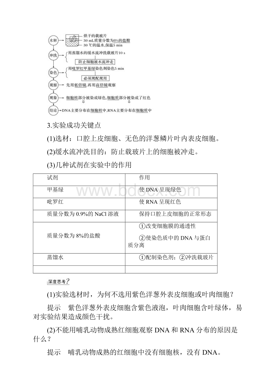 最经典总结DNA和RNA在细胞中的分布Word格式文档下载.docx_第2页