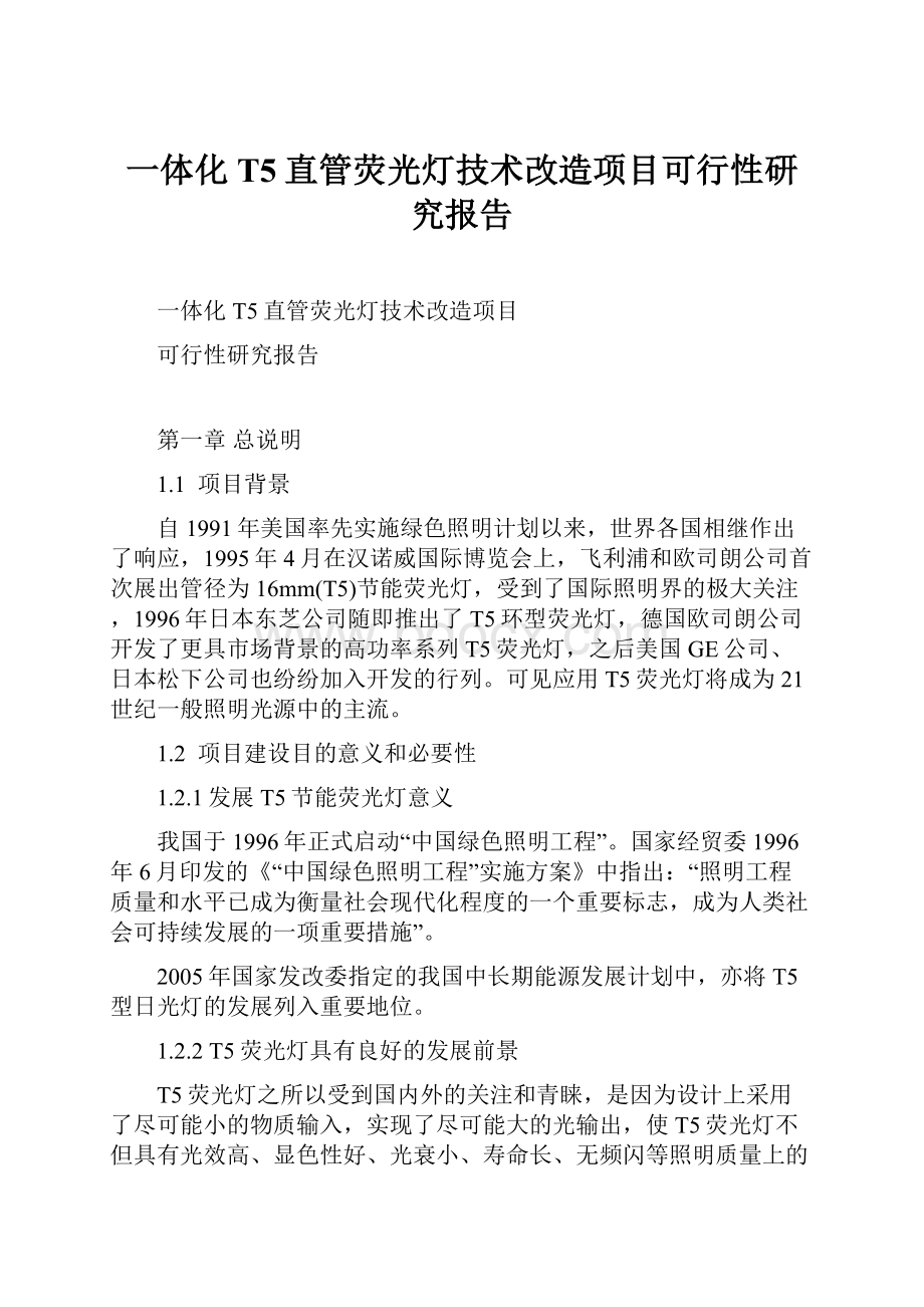 一体化T5直管荧光灯技术改造项目可行性研究报告.docx_第1页