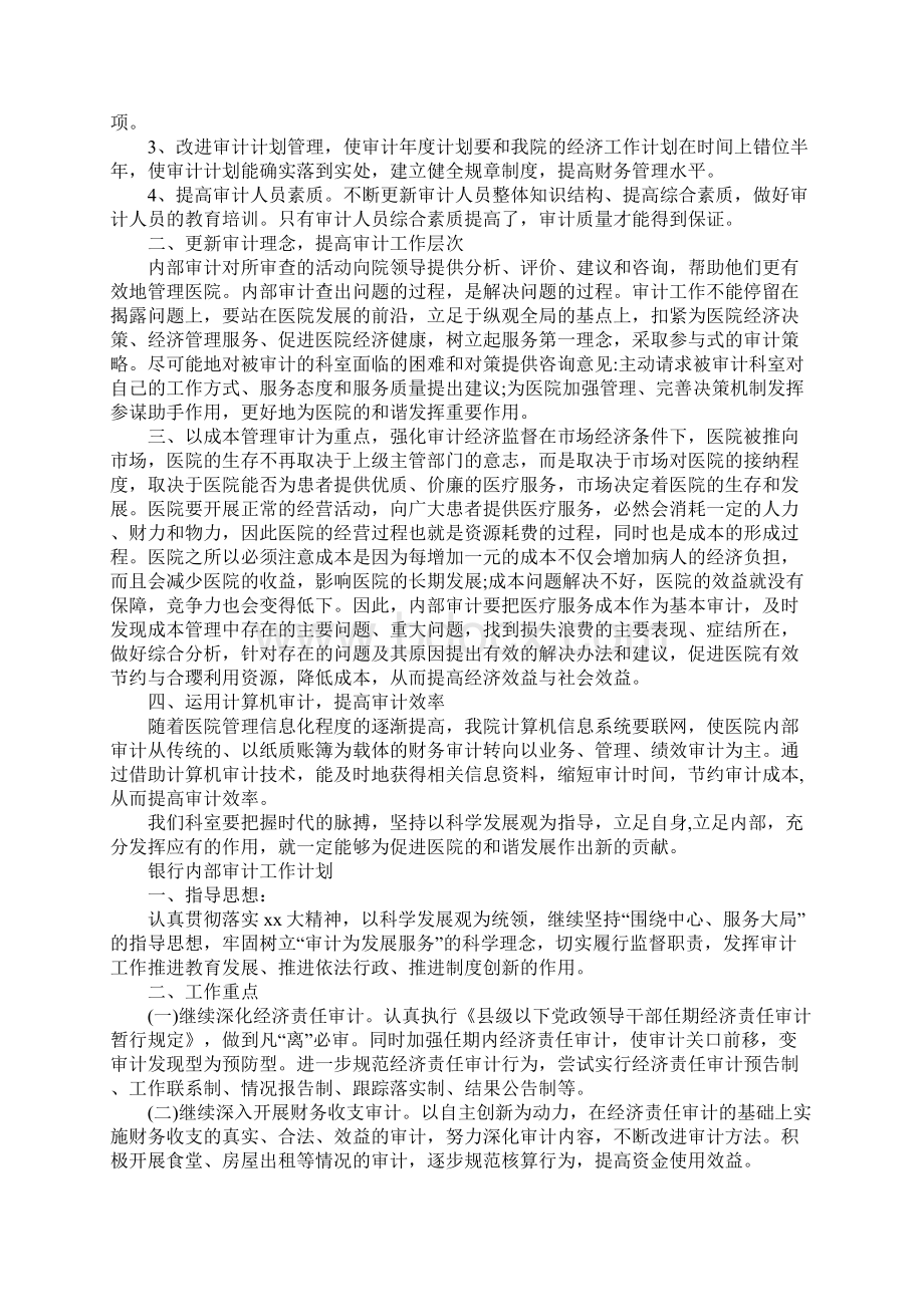 内部审计的工作计划Word文档格式.docx_第3页