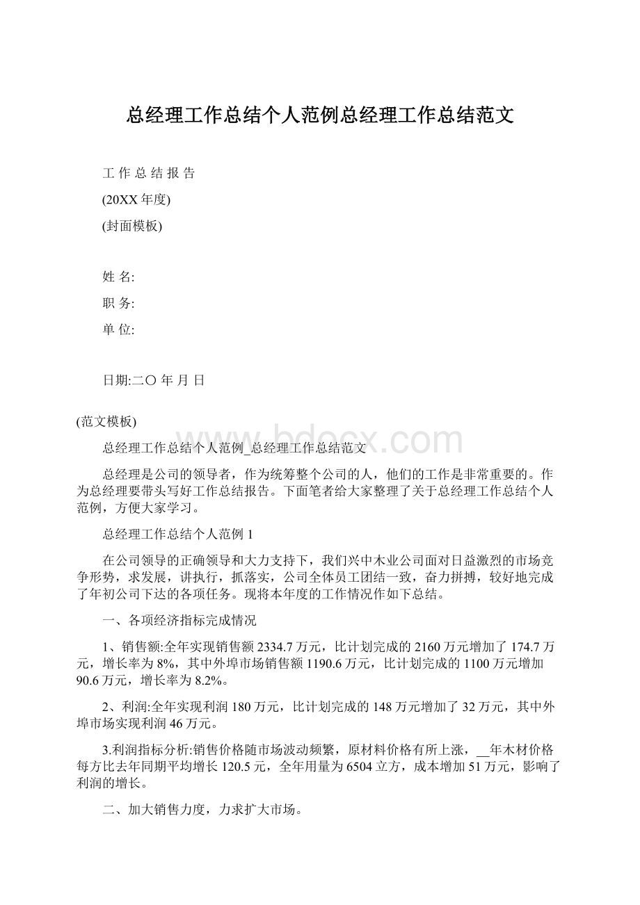 总经理工作总结个人范例总经理工作总结范文.docx