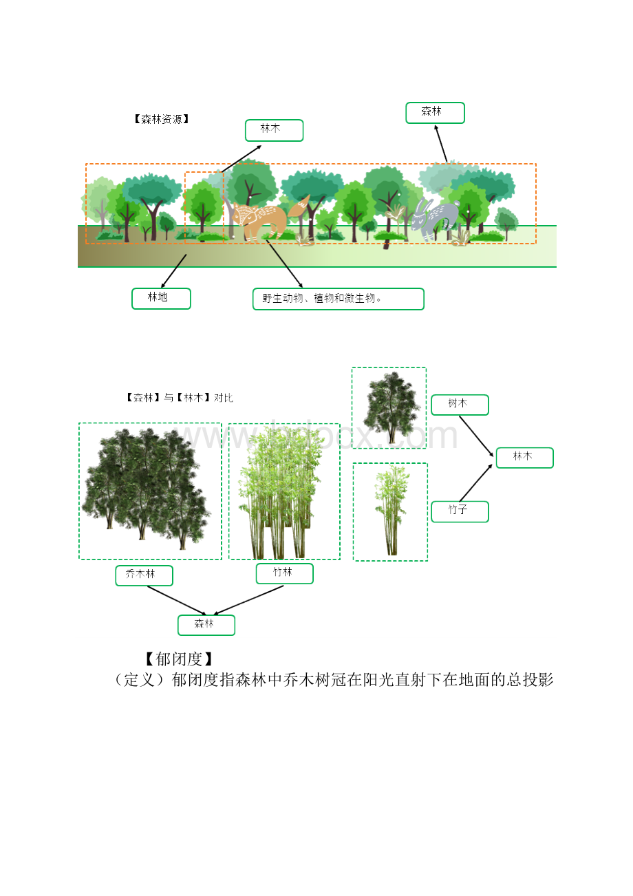 资产评估师考试讲义第05章 森林资源资产评估.docx_第3页