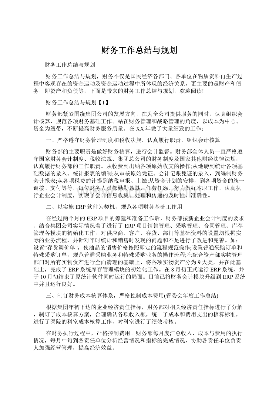 财务工作总结与规划Word格式文档下载.docx_第1页