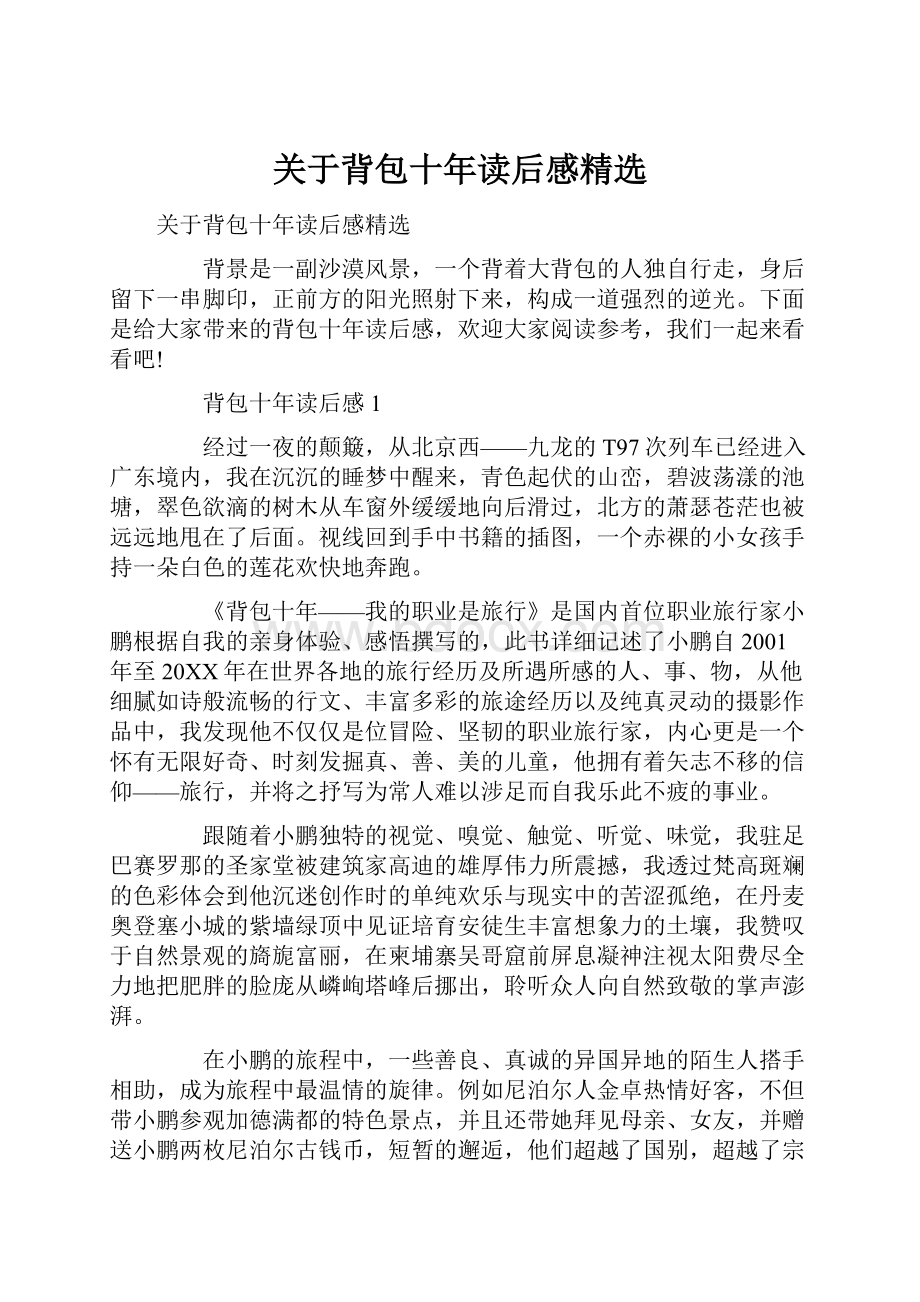 关于背包十年读后感精选Word文档格式.docx