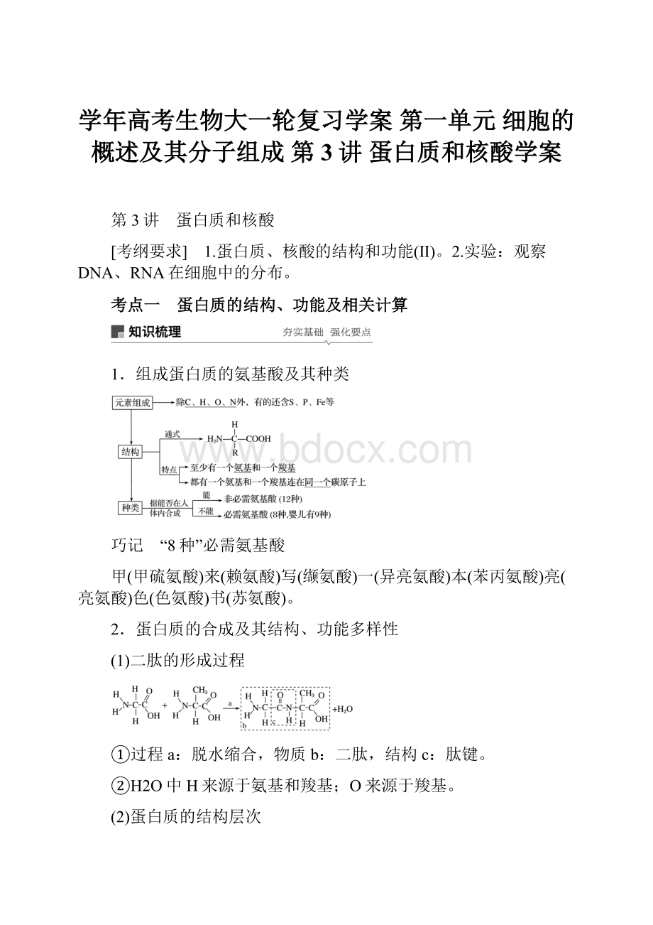 学年高考生物大一轮复习学案 第一单元 细胞的概述及其分子组成 第3讲 蛋白质和核酸学案Word格式.docx