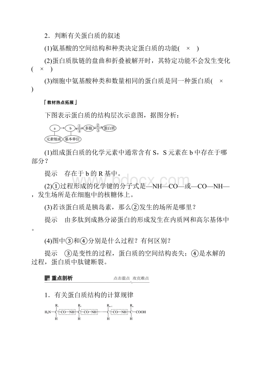 学年高考生物大一轮复习学案 第一单元 细胞的概述及其分子组成 第3讲 蛋白质和核酸学案.docx_第3页