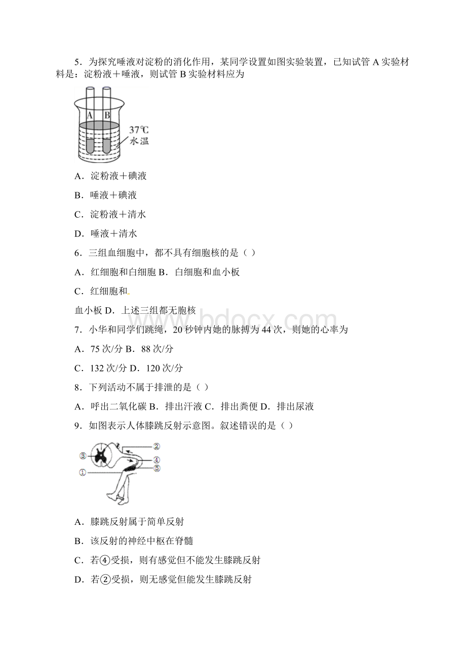 人教版七年级生物下册期中复习知识点大全doc.docx_第2页