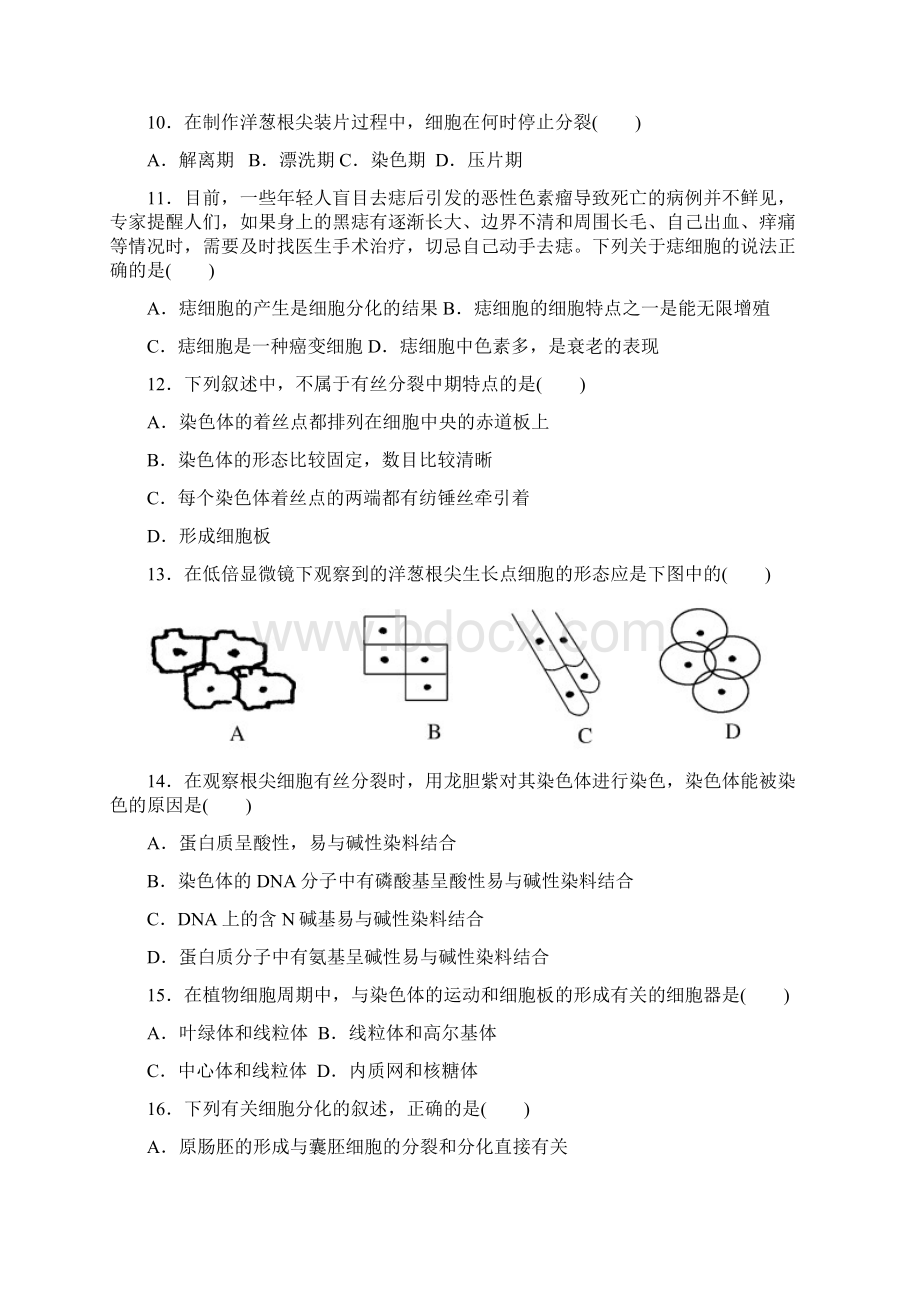 高中生物专题练习《细胞的生命历程》含答案.docx_第3页