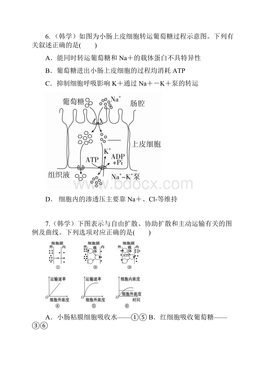 届山东省济南市历城第二中学高三模拟考试一生物试题Word格式.docx_第3页