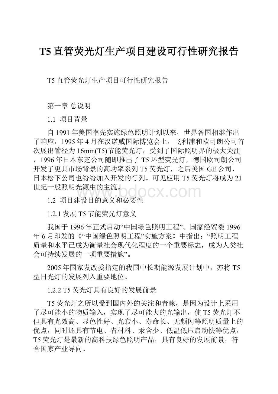 T5直管荧光灯生产项目建设可行性研究报告Word格式.docx_第1页