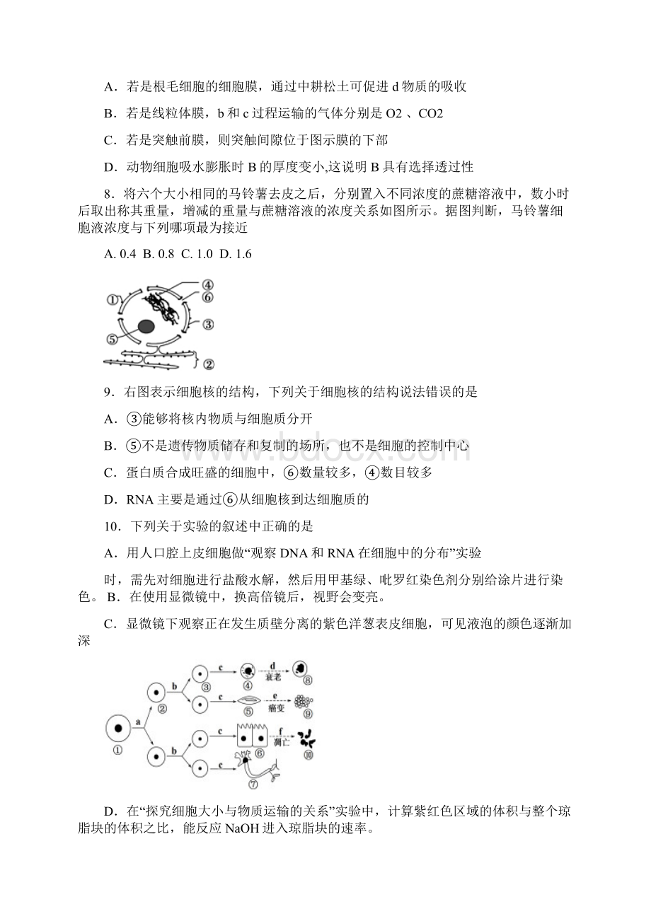 湖南省怀化市届高三上学期期中考试生物.docx_第3页