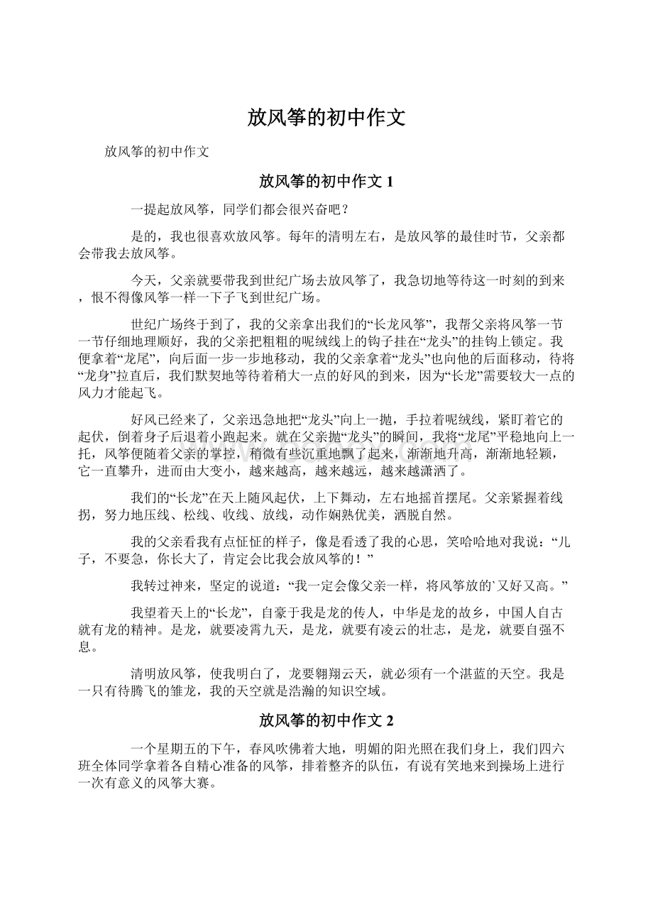 放风筝的初中作文文档格式.docx