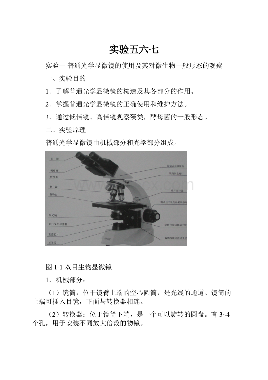 实验五六七文档格式.docx