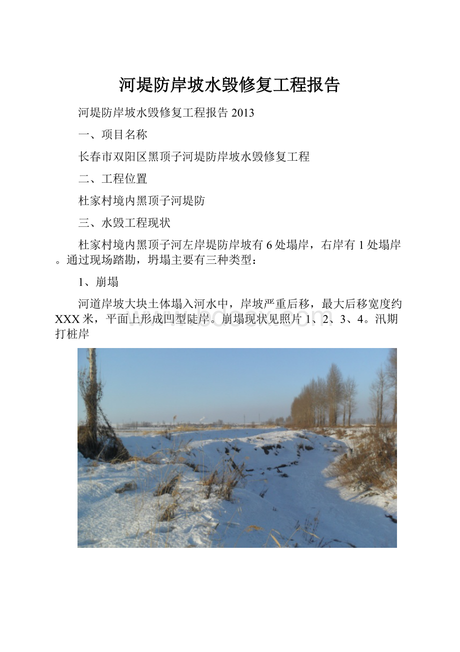 河堤防岸坡水毁修复工程报告.docx_第1页