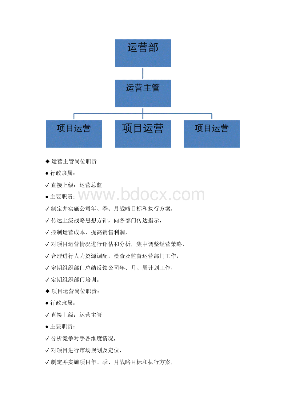 天猫京东电商企业电商运营组织结构及岗位职责Word下载.docx_第3页