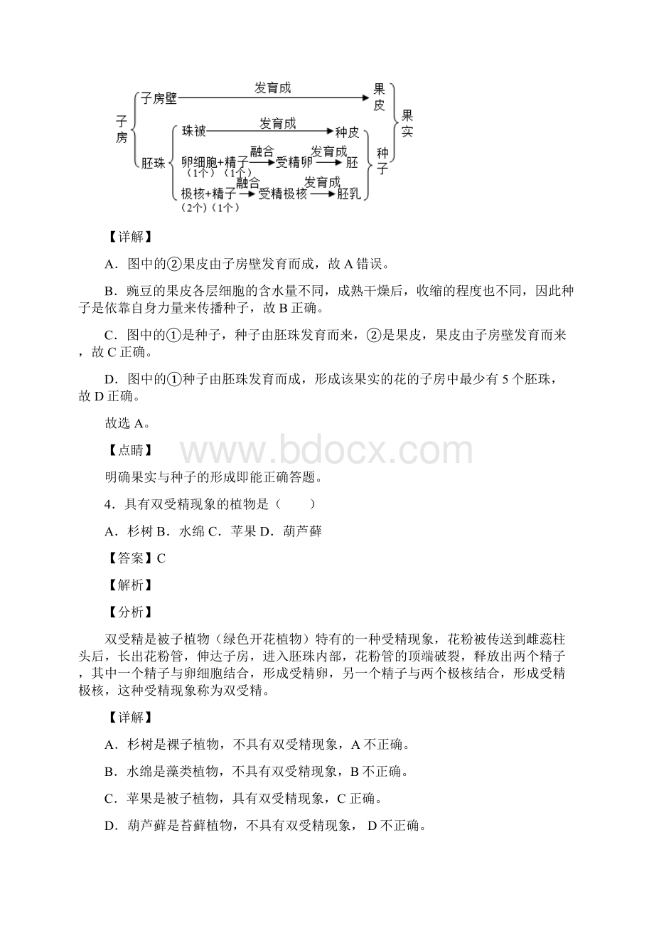 生物中考第三单元《生物圈中的绿色植物》复习资料.docx_第3页