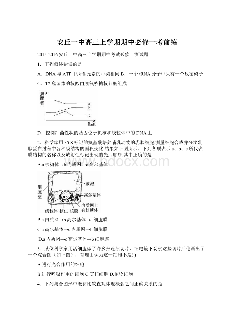 安丘一中高三上学期期中必修一考前练.docx