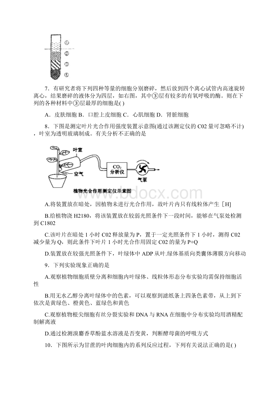 安丘一中高三上学期期中必修一考前练Word下载.docx_第3页