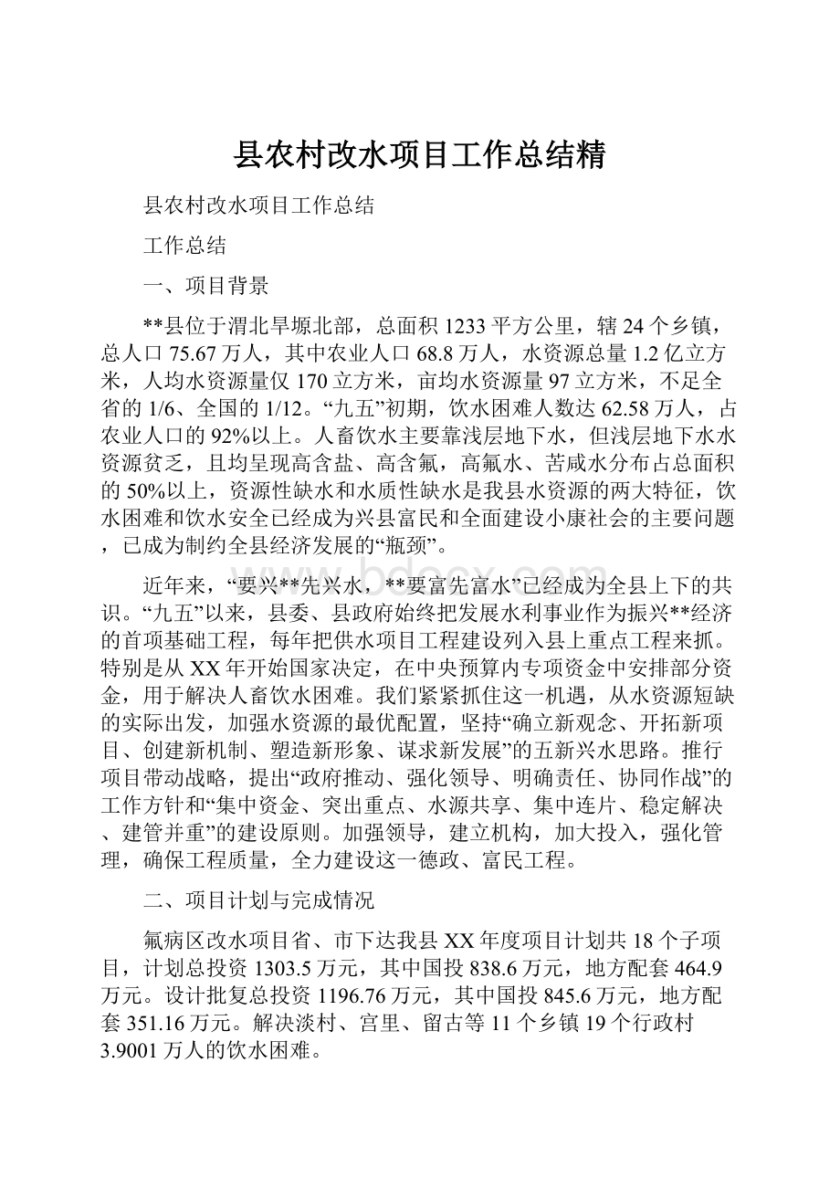 县农村改水项目工作总结精.docx