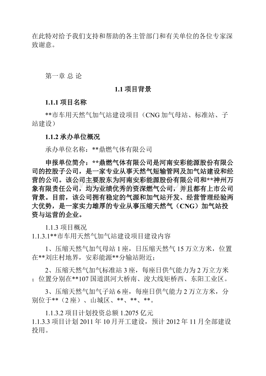 新能源车用天然气加气站投资建设项目可行性研究报告.docx_第2页