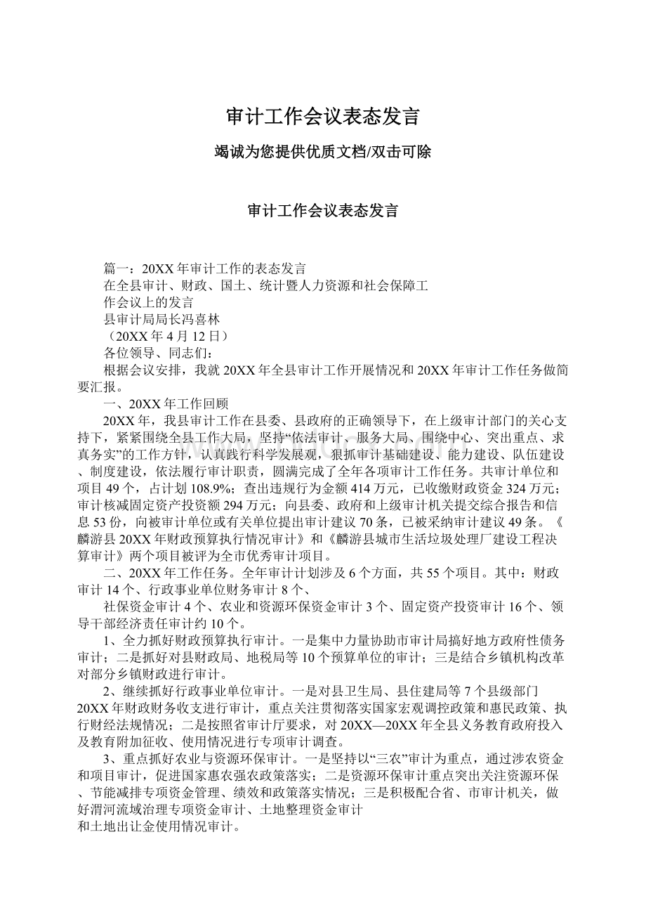 审计工作会议表态发言.docx_第1页