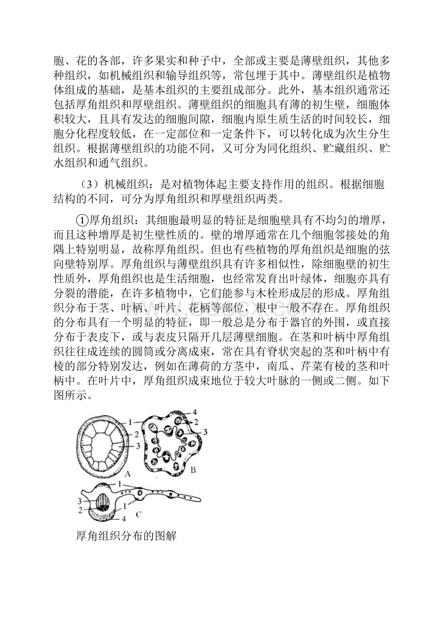 高二生物上册竞赛测试题10Word格式文档下载.docx_第3页