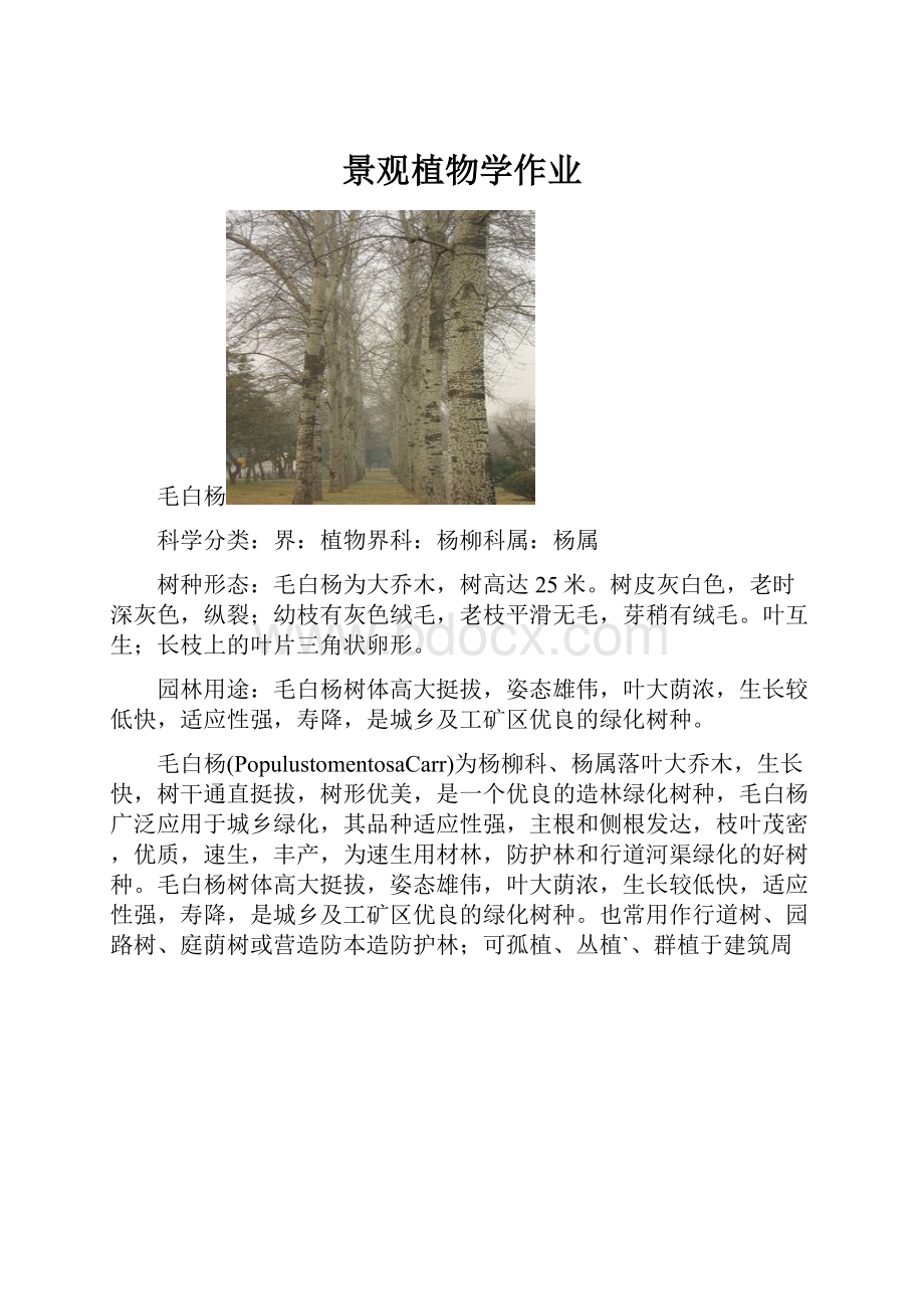 景观植物学作业Word格式文档下载.docx_第1页