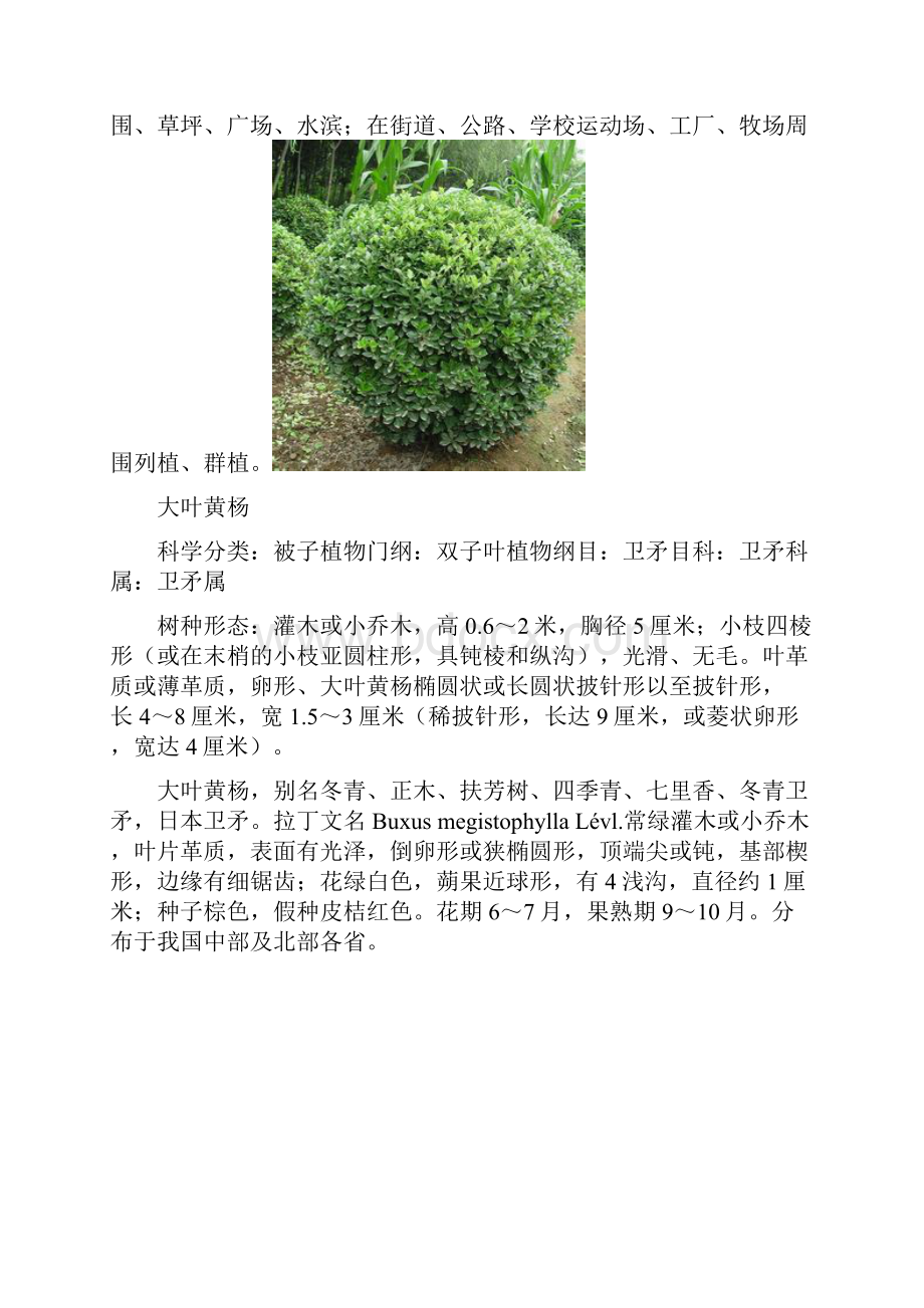 景观植物学作业Word格式文档下载.docx_第2页