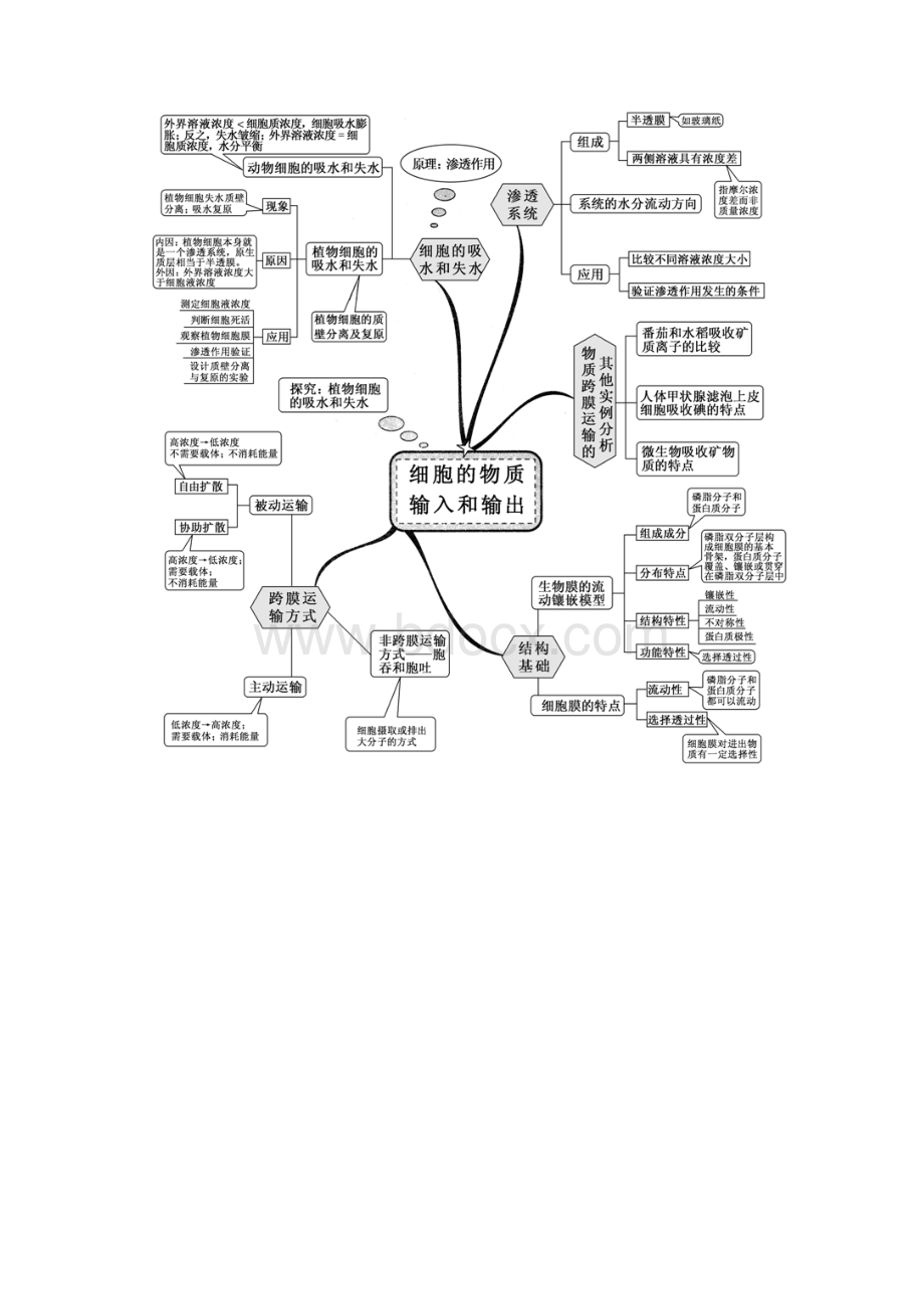 新课标高中生物全套思维导图Word文档格式.docx_第3页