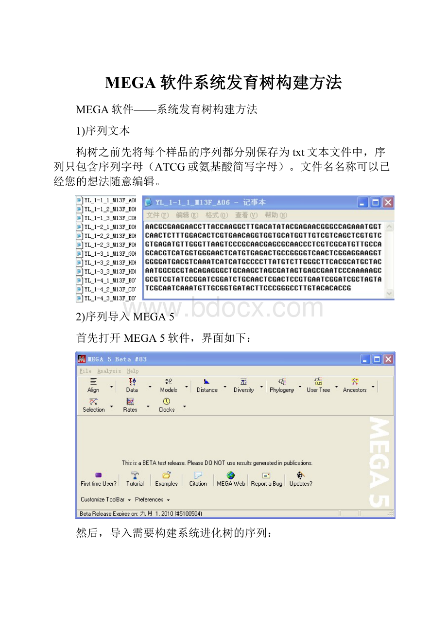 MEGA软件系统发育树构建方法.docx