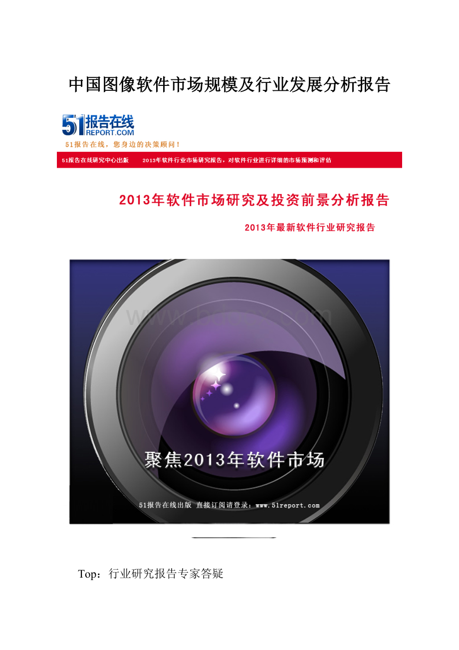 中国图像软件市场规模及行业发展分析报告Word文档格式.docx