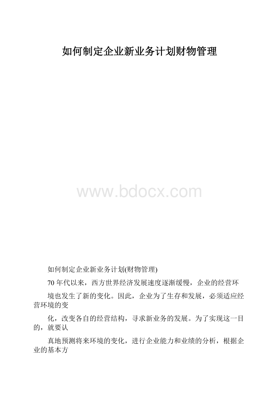 如何制定企业新业务计划财物管理Word格式文档下载.docx